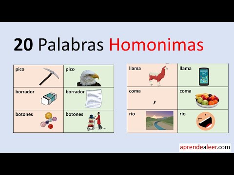 palabras homonimas 50 ejemplos de significados diversos