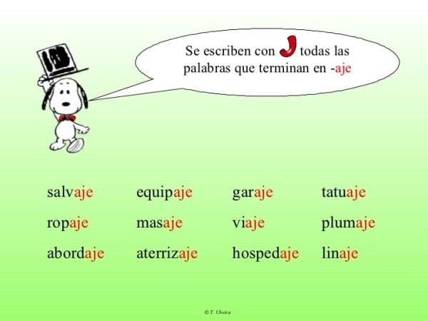 palabras que terminen en ciones 100 ejemplos clave
