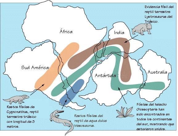 pangea concepto formacion separacion y deriva continental 3