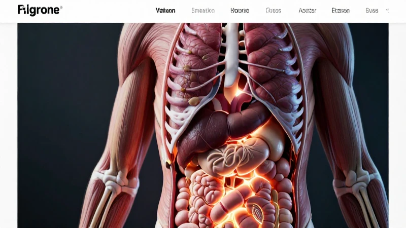 Ilustración anatómica hiperrealista del torso