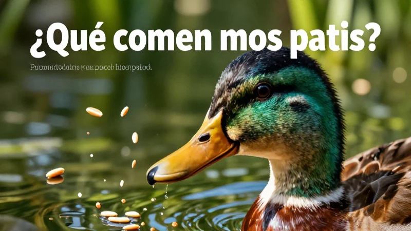 Pato: características, reproducción y qué comen los patos 4 Ilustración detallada de patos y su dieta