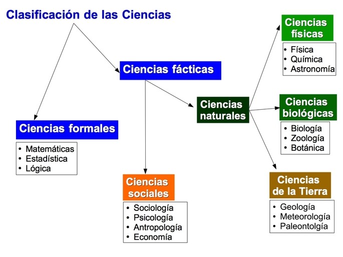 pensamiento tipos ciencias y su estudio en el entorno