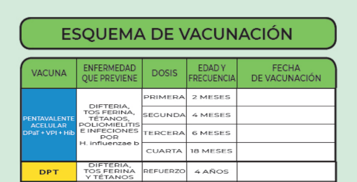Pentavalente Acelular: Todo sobre la Vacuna y su Historia 2 pentavalente acelular todo sobre la vacuna y su historia