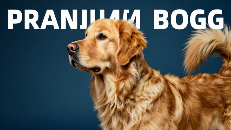 Perro dorado detallado, estético y vibrante