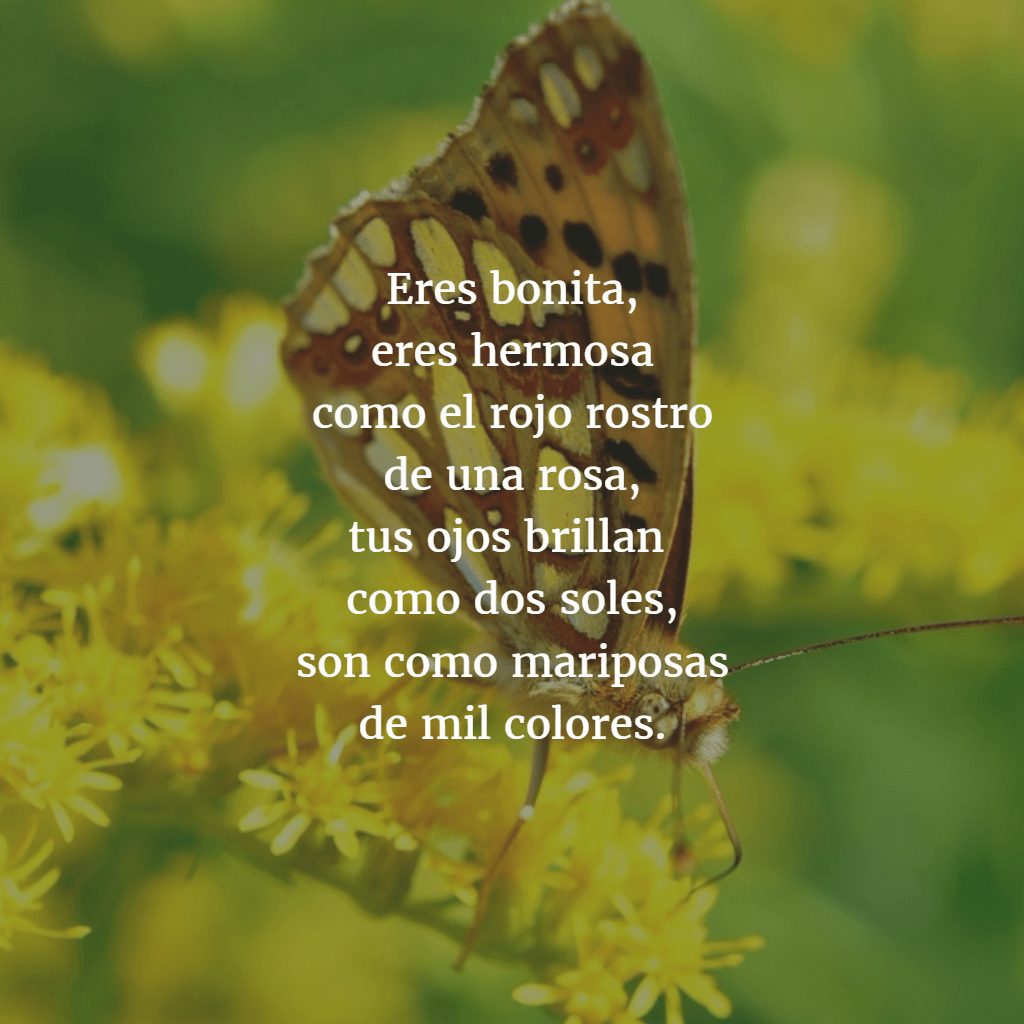 Poemas hermosos con significado: descubre este recopilatorio 2 poemas hermosos con significado descubre este recopilatorio