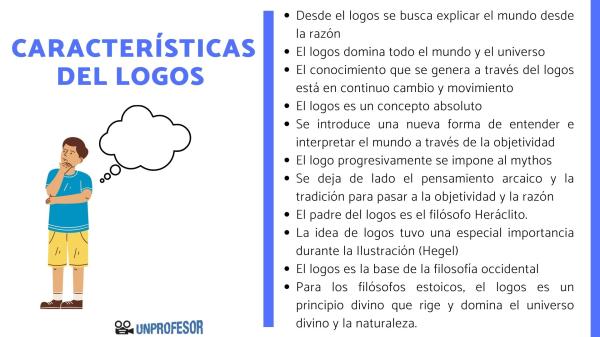 pogos origen caracteristicas y usos que debes conocer 1