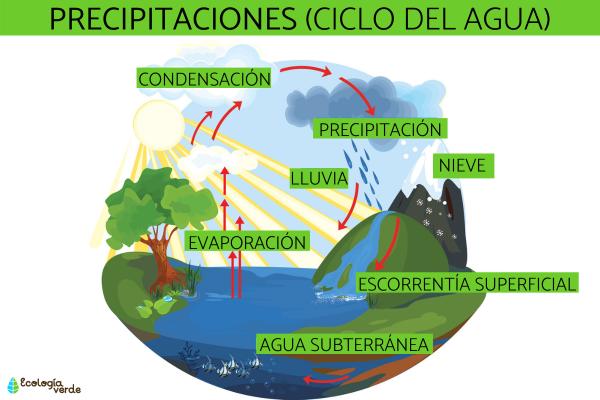 precipitaciones tipos como se miden y su importancia