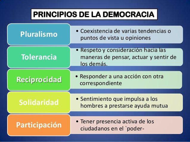 Principios fundamentales de la democracia: una guía esencial
