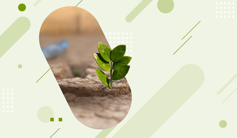 problematica ambiental ejemplos causas y como prevenirlos 5