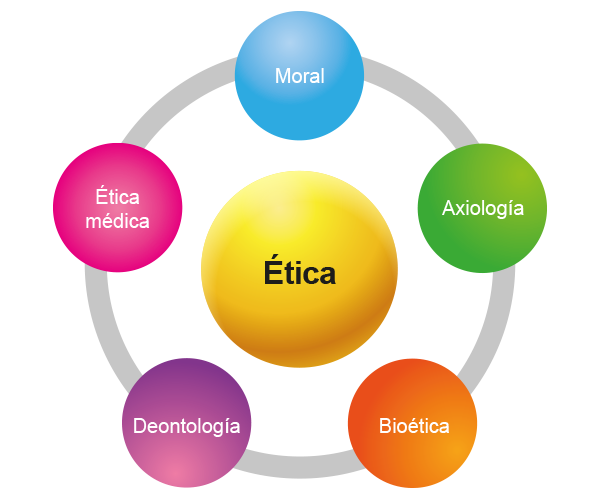 profesional concepto caracteristicas e implicaciones clave