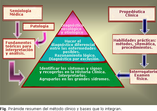 propedeutica definicion utilidad y concepto esencial