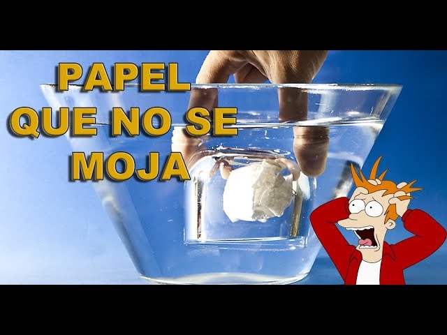 proyecto cientifico que es y como hacer un vaso de papel 1