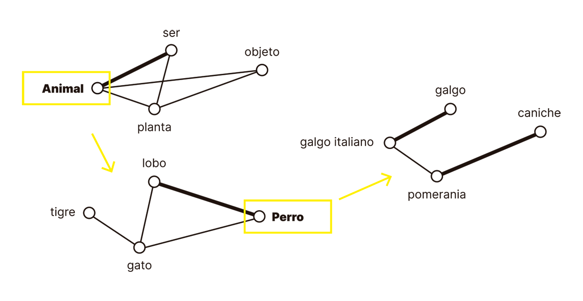 psicodelica definicion y concepto en el lenguaje cotidiano