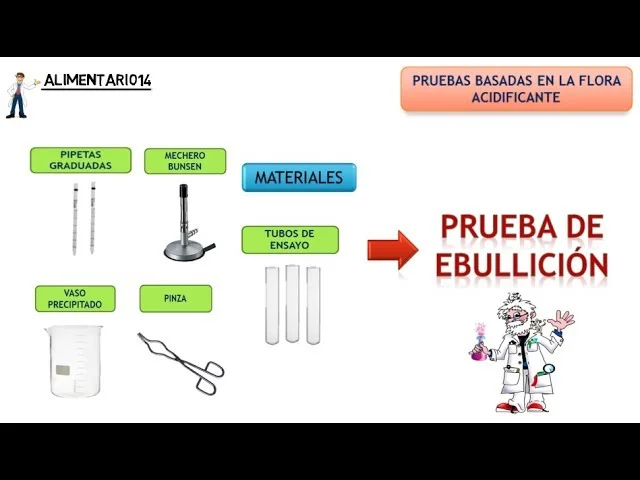 punto de ebullicion claves y factores que lo determinan