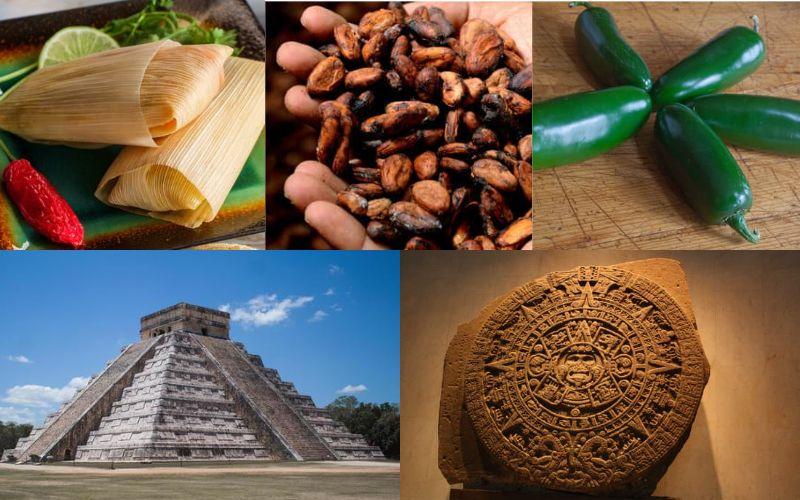 que culturas y legado historico tiene aridoamerica 1