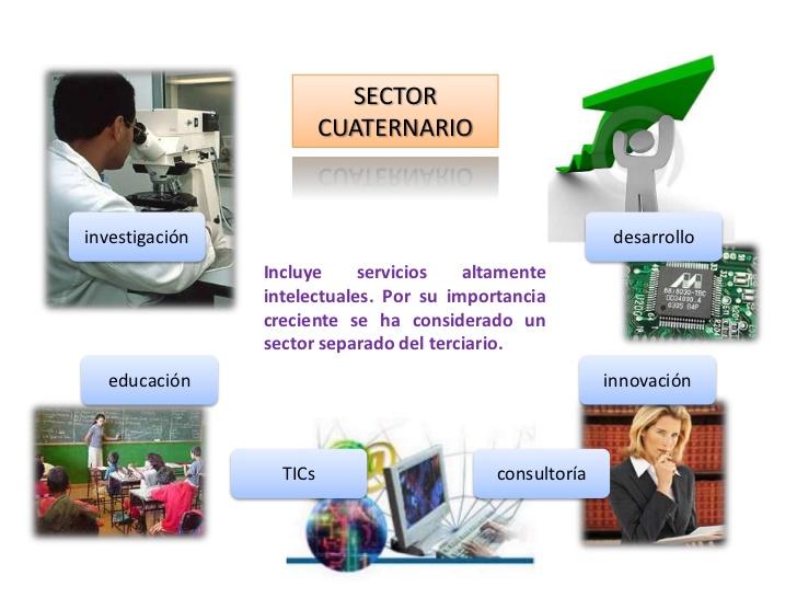 que ejemplos hay de sectores economicos primario a cuaternario 3