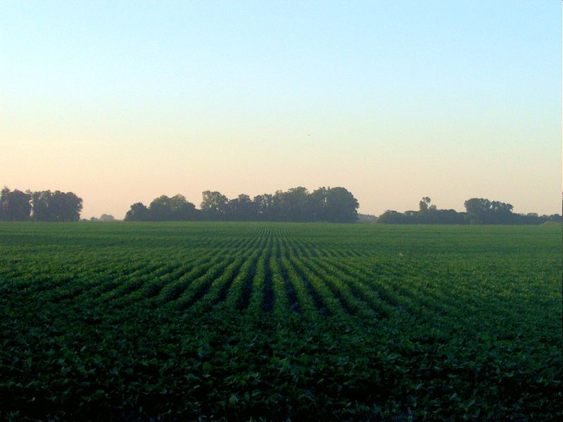 que es agricultura definicion origen y tipos esenciales 3
