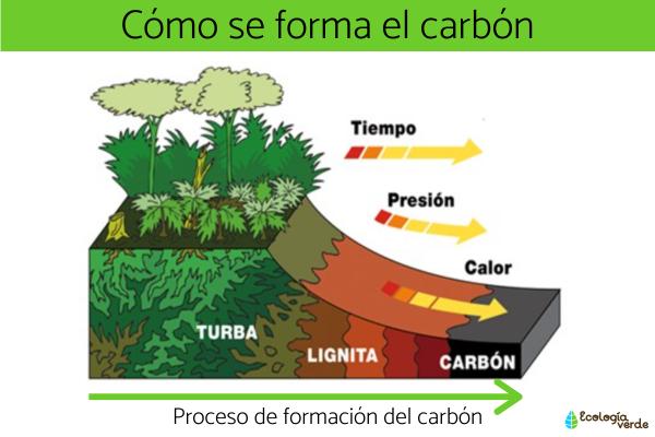 que es el carbon definicion y concepto explicado en detalle