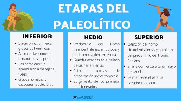que es el paleolitico etapas y caracteristicas clave