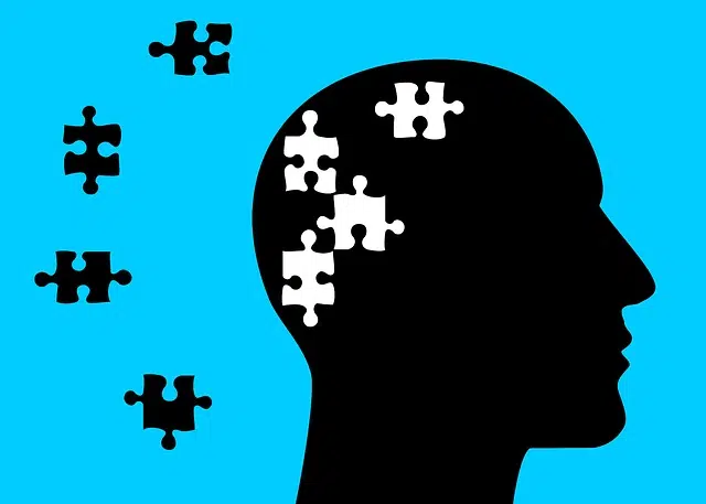 Qué es el raciocinio y cuáles son sus características 2 que es el raciocinio y cuales son sus caracteristicas 1