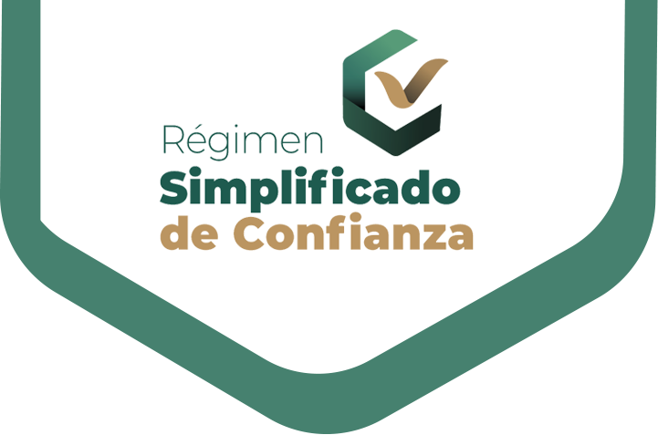 que es el regimen simplificado y sus conceptos clave