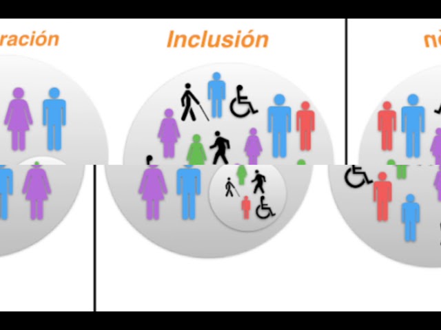 que es inclusion tipos y casos de exclusion