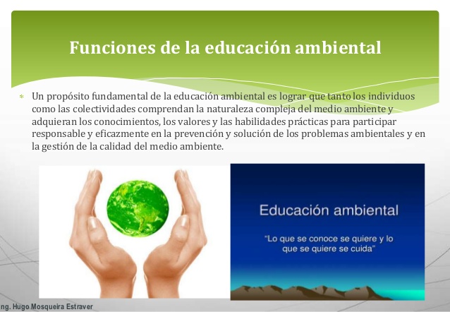 que es la educacion ambiental y cuales son sus funciones 4