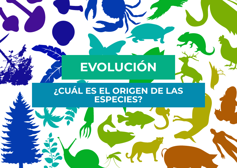 que es la evolucion y cuales son las teorias sobre su origen