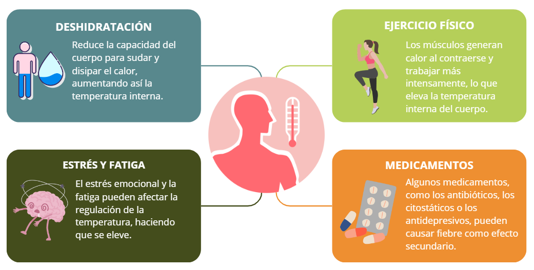 que es la febricula y que necesitas saber sobre ella