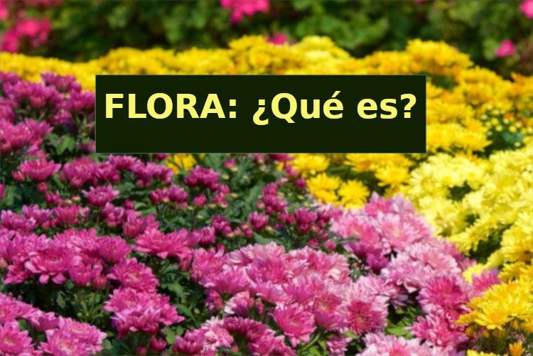 que es la flora definicion usos y su concepto esencial 1