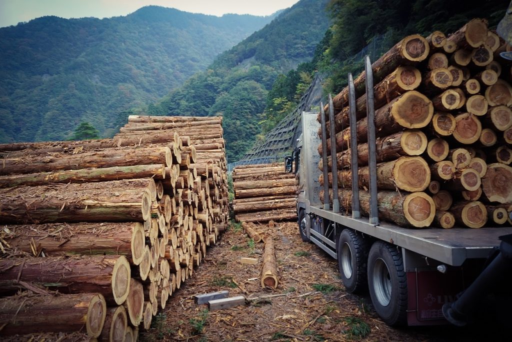Qué es la industria básica y cuáles son sus características 2 que es la industria basica y cuales son sus caracteristicas 1