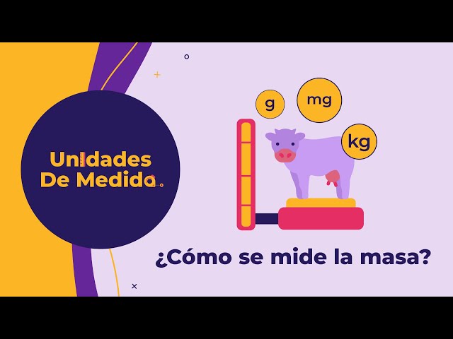 que es la masa y como medirla ejemplos practicos 3