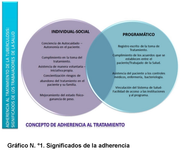 Qué es la Salud: Entiende el Concepto según la OMS 2 que es la salud entendiendo el concepto segun la oms 1