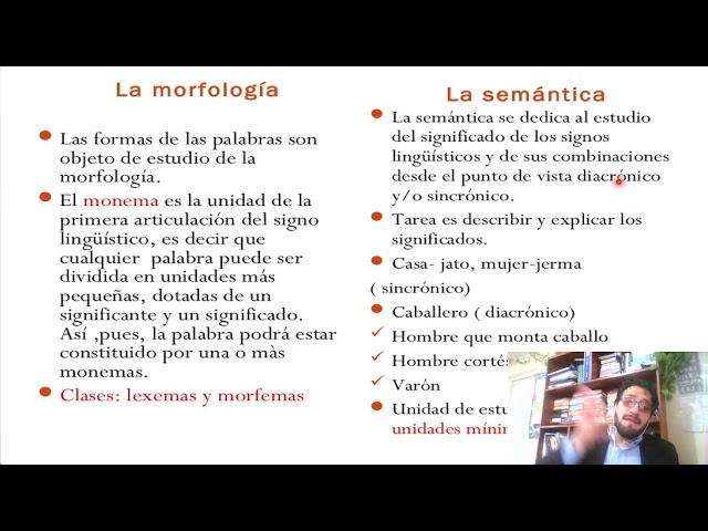 Qué es lingüística Objeto, ramas y ejemplos explicados 2 que es linguistica objeto ramas y ejemplos explicados 2