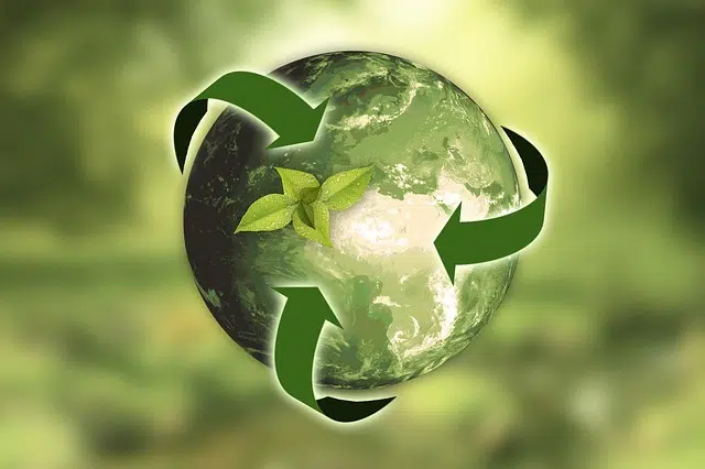 que es sustentable definicion concepto e importancia