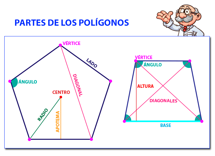 que es un decagono caracteristicas y ejemplos