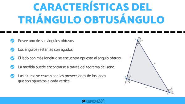 que es un triangulo obtusangulo y sus caracteristicas 1