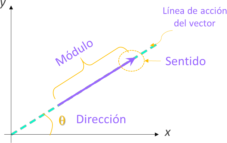 que es un vector y cuales son sus caracteristicas y tipos
