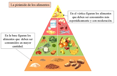 que es una dieta definicion tipos e influencia en salud