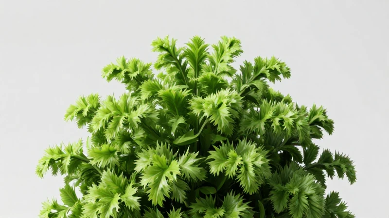 Las plantas son fundamentales para nuestro entorno