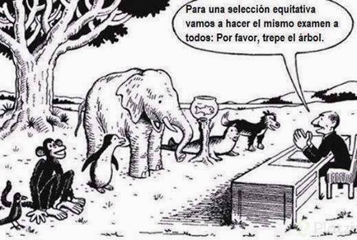 que le dijo un pez a otro pez sobre trepar y pez mono 1