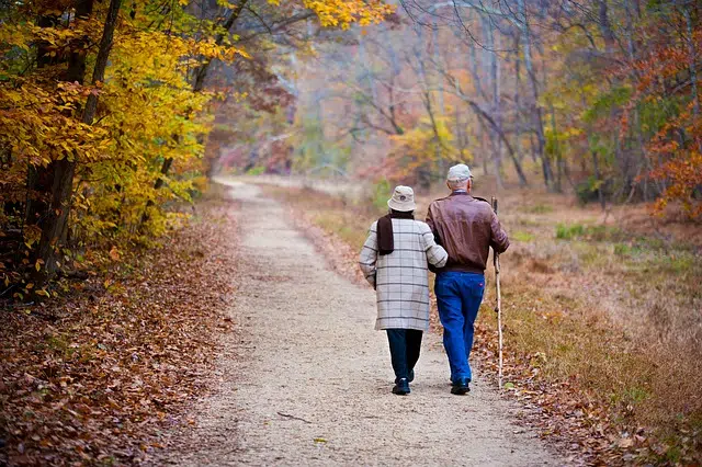 que significa la palabra pareja y como se usa como adjetivo