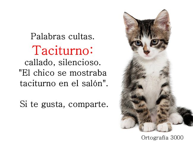 Qué significa taciturno y cuál es su definición clara 9 que significa taciturno y cual es su definicion clara