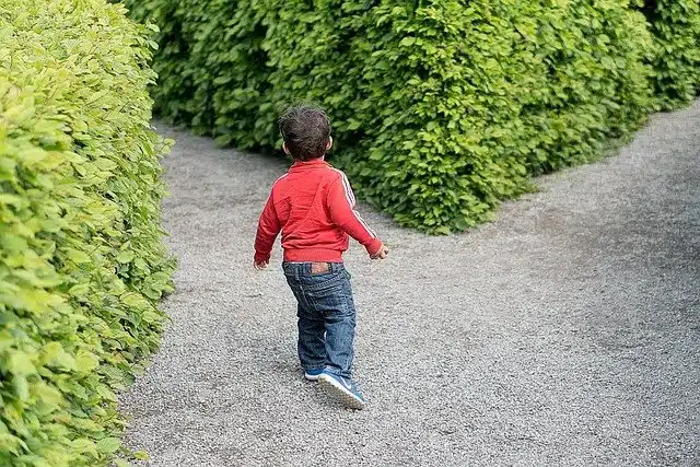 que significan las dicotomias en botanica y linguistica