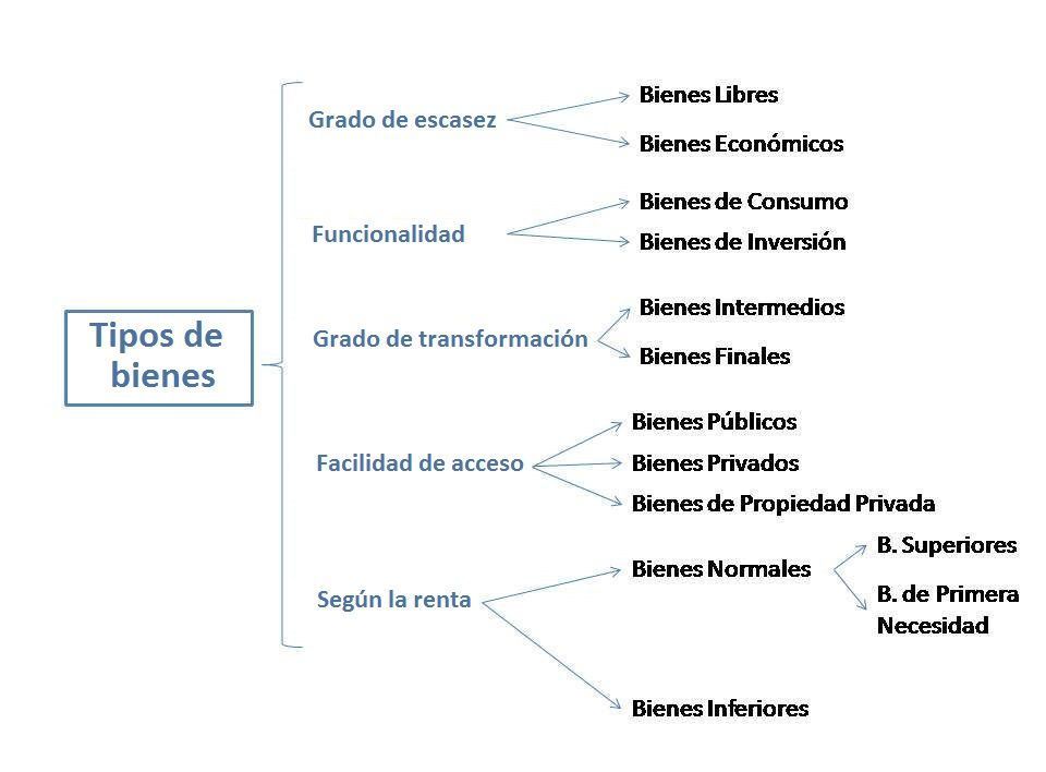 que son bienes y cuales son sus tipos y caracteristicas 4