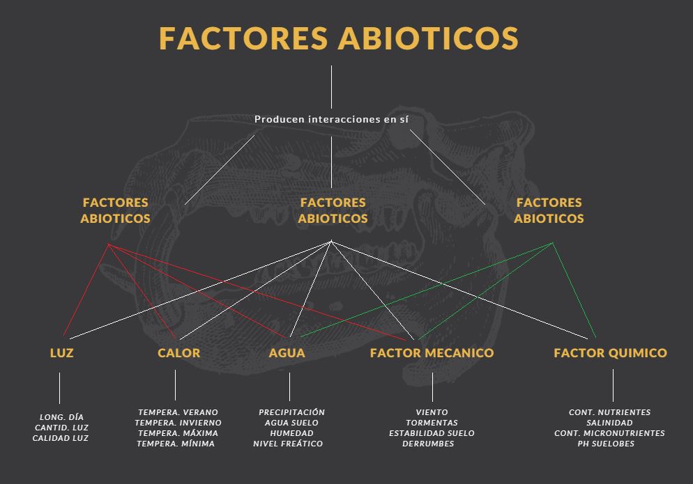 que son factores abioticos definicion y concepto