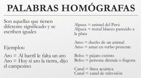 que son las palabras homografas ejemplos y oraciones