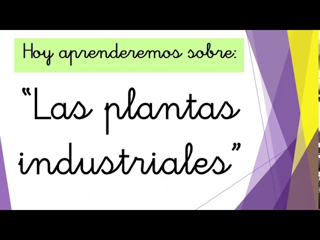 Qué son las plantas en la industria y cómo se clasifican 2 que son las plantas en la industria y como se clasifican
