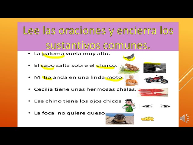 que son los sustantivos comunes y ejemplos en oraciones