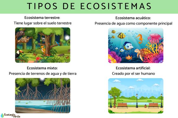 que tipos de ecosistemas existen y sus caracteristicas